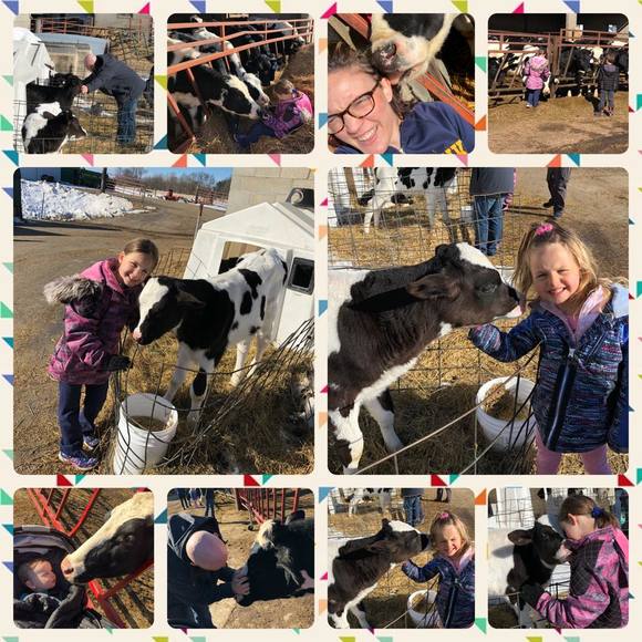 Meet your Posher, Amy - Picture 1 of 1